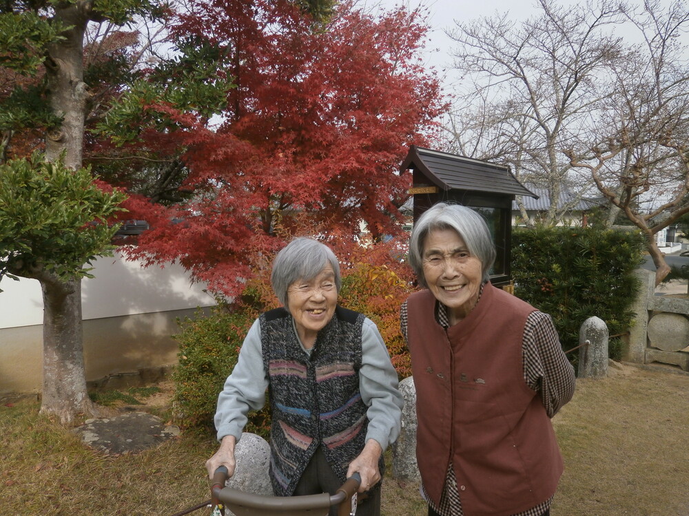 紅葉見物