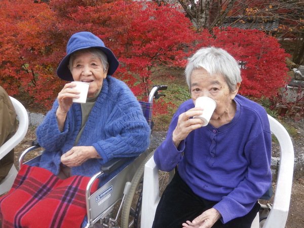 紅葉見物