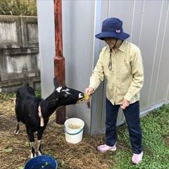 ヤギのうめちゃんとも触れ合えます♪