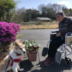 看板犬ハナコと日向ぼっこ♪