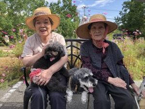 入居者が屋外で動物と触れ合うレクリエーション活動